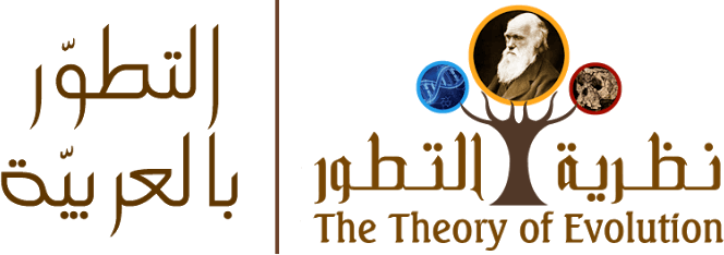 نظرية التطور - التطور بالعربية