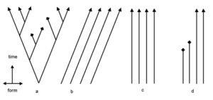 الشكل الثاني. a:- تطور b:- التحول c:- الانواع الثابتة d:- الانواع الثابتة + الانقراض (a و c بعد ريدلي 1985، d بعد ريدلي 1996