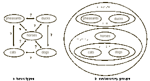 الشكل الثالث -أ- الانواع الثابتة هي مجموعات حصرية مقيدة -ب- المجموعات التطورية هي مجموعات شاملة