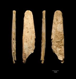 النياندرتال صنعوا أدوات متخصصة من العظام - كشفت حفريات من مواقع للنياندرثال تعود لنحو 40 ألف سنة أن النياندرتال صنعوا أدوات من العظام