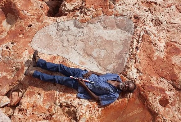 رجل من السكان الأصليين في أستراليا وبجانبه أكبر أثر لقدم ديناصور في العالم يقدر طولها بنحو 1.7 متر في شبه جزيرة دامبيير في غرب أستراليا. في صورة حصلت عليها رويترز من جامعة كوينزلان Credit: Reuters