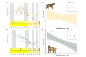 ملخص بياني. حقوق النشر: مجلة علم الأحياء التطوري (2025). DOI: 10.1093/jeb/voaf043