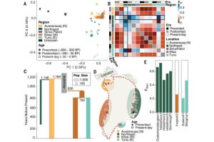 التركيبة السكانية لكلاب غرينلاند. المصدر: Science (2025) DOI: 10.1126/science.adu1990.