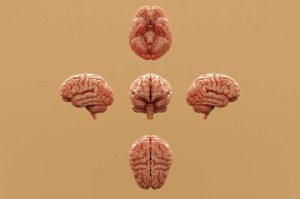 المصدر: Unsplash النطاق العام CC0.