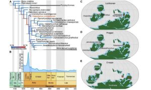 الموقع التطوري والجغرافي القديم لسمكة باليولوفوس يونانينسيس. حقوق الصورة: فريق البروفيسور تشو مين.