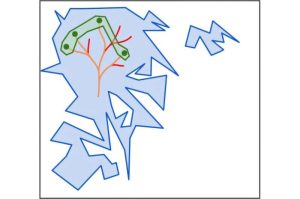 تمثيل بصري تجريدي -غير مقياسي- لفضاءات تسلسل البروتين المرتبطة بوظيفة بيولوجية معيّنة. يمثّل الصندوق الكبير جميع تسلسلات الأحماض الأمينية الممكنة (نحو 20L من التراكيب، حيث L هو طول السلسلة)، بينما تشير المنطقة الزرقاء إلى التسلسلات القادرة على إنتاج بروتينات وظيفية، وتُظهر المنطقة الخضراء الجزء الذي ثبت وجوده تاريخيًا. تمثّل الخطوط الذهبية مسارات تطوّر البروتين، في حين تعبّر المسارات الحمراء عن مسارات منقرضة (تلك التي لا يُعتقد أنها موجودة في التنوع البيولوجي الحديث). حقوق الصورة: إيساكوفا وآخرون