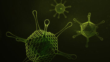 الفيروسات القهقرية الراجعة ERV وعلاقتها بالتطور وإثبات السلف المشترك - كيف تعمل الفيروسات القهقرية الراجعة