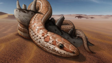 حل اللغز وراء كيفية فقدان الثعابين لأرجلها عن طريق أحفورة من الزواحف - كيف فقدان الثعابين أطرافها؟ كيفية تطور الثعابين
