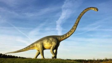 لماذا كانت تضع أضخم الديناصورات على الأرض بيضًا صغيرًا؟ لماذا كانت بيوض الديناصورات صغيرة الحجم؟ الديبلودوكس