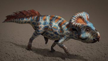 دراسة تقترح سببًا جديدًا لانقراض الديناصورات يختلف عما نعرفه - كيف انقرضت الديناصورات في العصر الطباشيري؟