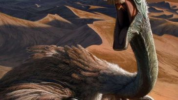 اكتشاف عظم حمصي في ديناصورات ثيروبودا يكشف عن صلة مباشرة بتطور الطيران لدى الطيور، ما يغير فهمنا لبنية المعصم وأصل الطيران