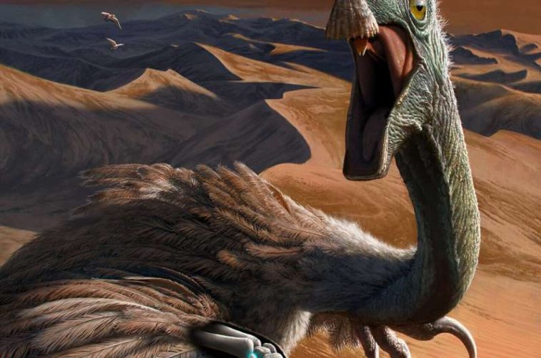 اكتشاف عظم حمصي في ديناصورات ثيروبودا يكشف عن صلة مباشرة بتطور الطيران لدى الطيور، ما يغير فهمنا لبنية المعصم وأصل الطيران