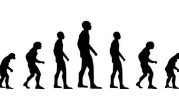 حقوق الصورة: Pixabay / CC0 Public Domain